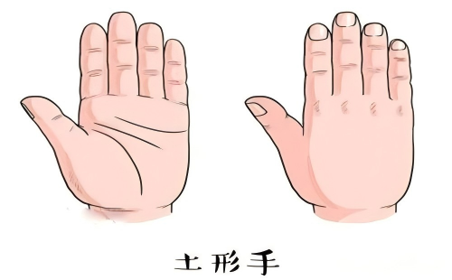土型手
